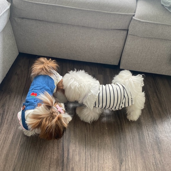 Meet your Posher, Rey - Picture 8 of 11